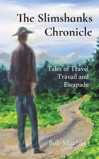 bokomslag Slimshanks Chronicle
