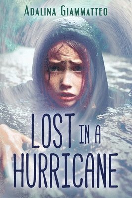 Lost in a Hurricane 1