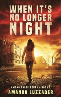 bokomslag When It's No Longer Night