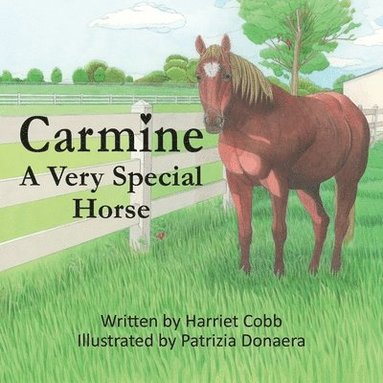 bokomslag Carmine