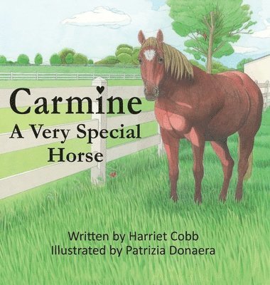 Carmine 1