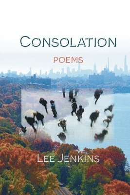 Consolation; Poems 1