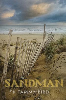 Sandman 1