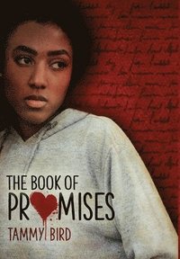 bokomslag The Book of Promises