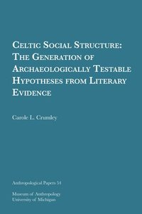 bokomslag Celtic Social Structure