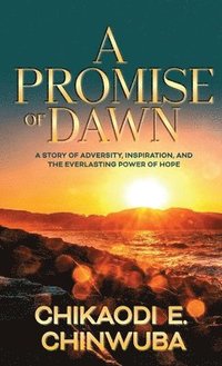 bokomslag A Promise of Dawn