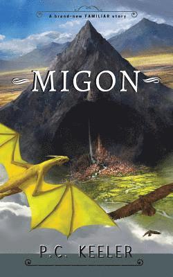 bokomslag Migon