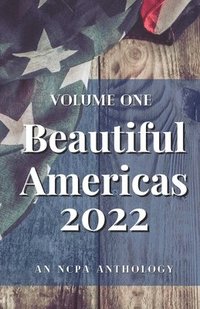 bokomslag Beautiful Americas