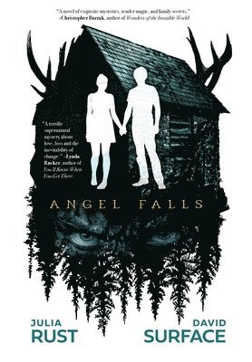 Julia Rust, David Surface - Angel Falls, Inbunden