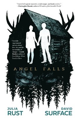 Julia Rust, David Surface - Angel Falls, Häftad