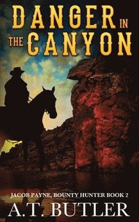 bokomslag Danger in the Canyon