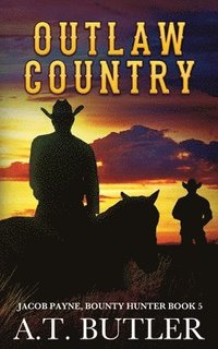 bokomslag Outlaw Country
