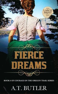 bokomslag Fierce Dreams