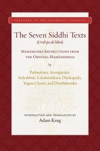 bokomslag Seven Siddhi Texts