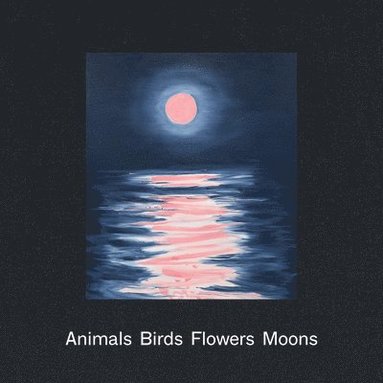 bokomslag Ann Craven: Animals, Birds, Flowers, Moons