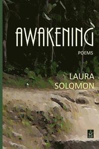 bokomslag Awakening: Poems