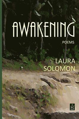 bokomslag Awakening: Poems