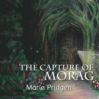 bokomslag Capture of Morag