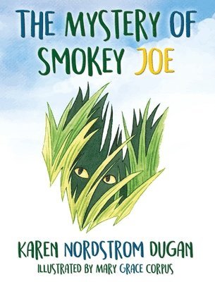 Mystery of Smokey Joe