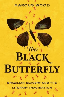 The Black Butterfly 1