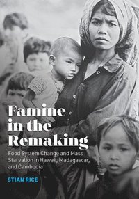 bokomslag Famine in the Remaking