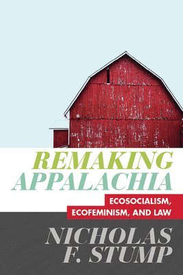 bokomslag Remaking Appalachia