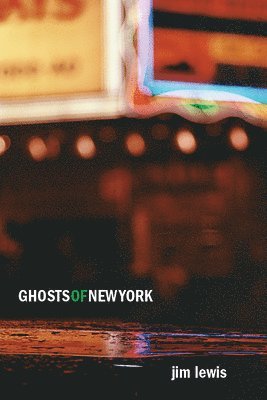 bokomslag Ghosts of New York