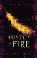 bokomslag Hunted by Fire