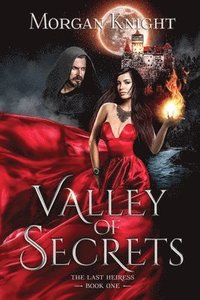 bokomslag Valley Of Secrets