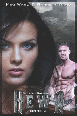 bokomslag Hewn: Book Three of the Ceorfan Gargoyle Series