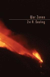 bokomslag War Zones