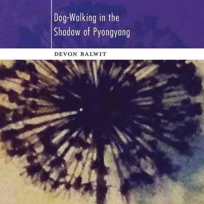 Devon Balwit - Dog-Walking in the Shadow of Pyongyang, Häftad