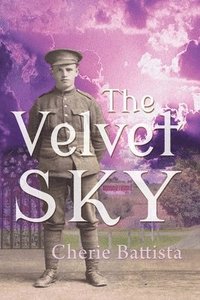 bokomslag Velvet Sky