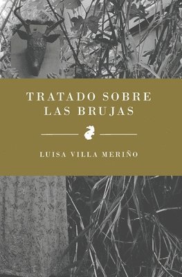 bokomslag Tratado sobre las brujas