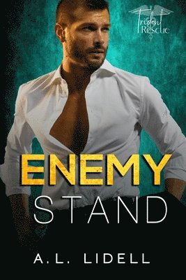 bokomslag Enemy Stand