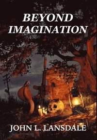 bokomslag Beyond Imagination