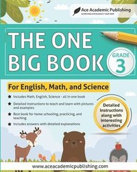 bokomslag The One Big Book - Grade 3: For English, Math and Science