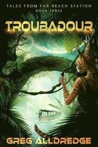 bokomslag Troubadour