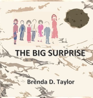bokomslag Big Surprise