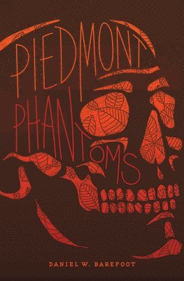 bokomslag Piedmont Phantoms