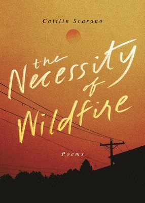 The Necessity of Wildfire 1