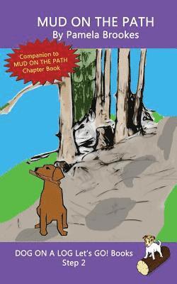 Mud On The Path 1