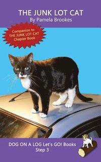 bokomslag Junk Lot Cat