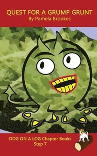 bokomslag Quest For A Grump Grunt Chapter Book