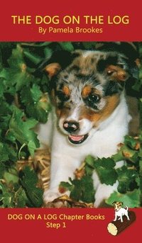 bokomslag Dog On The Log Chapter Book