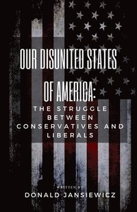 bokomslag Our Disunited States of America