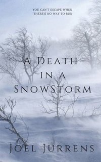 bokomslag A Death in a Snowstorm