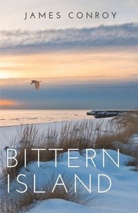 bokomslag Bittern Island