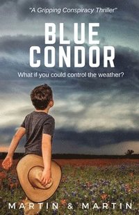 bokomslag Blue Condor