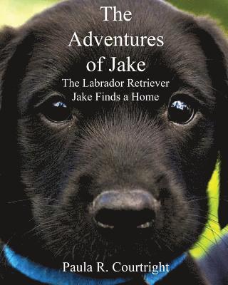bokomslag The Adventure of Jake the Labrador Retriever: Jake Finds a Home